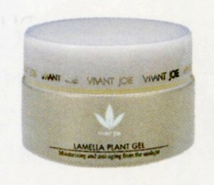 rameraplangel