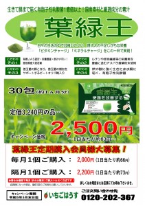 葉緑王