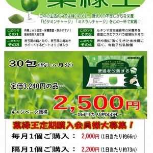 葉緑王