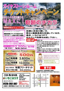 ガイヤストーンルーム