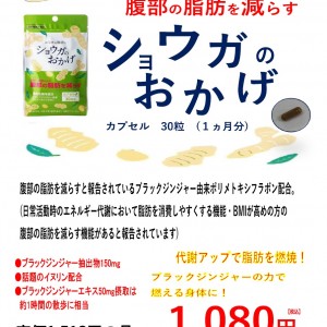 ショウガ