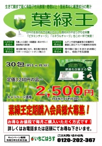 葉緑王