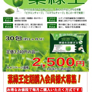 葉緑王