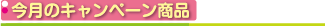 今月のキャンペーン商品