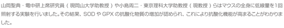 山岡聖典・電中研上席研究員(現岡山大学助教授)や小島周二・東京理科大学助教授(現教授)らはマウスの全身に低線量を１回照射する実験を行いました。その結果、SODやGPXの抗酸化物質の増加が認められ、これにより抗酸化機能が高まることがわかりました。