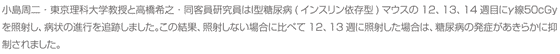 小島周二・東京理科大学教授と高橋希之・同客員研究員はＩ型糖尿病(インスリン依存型)マウスの12、13、14週目にγ線５０cGyを照射し、病状の進行を追跡しました。この結果、照射しない場合に比べて12、13週に照射した場合は、糖尿病の発症があきらかに抑制されました。