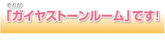 「ガイヤストーンルーム」です！