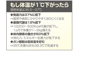 もし体温が１℃下がったら：◆免疫力は37％に低下⇒風邪や病気にかかりやすく治りにくくなる◆基礎代謝は12％低下⇒１日200～500Kcal代謝が低下し、１ヵ月で体重が1～2kg増える◆体内酵素の働きが50％低下
⇒消化力、エネルギー生産力が低下する◆ガン細胞は低体温を好む⇒35℃を最も好み39.3℃で死滅する