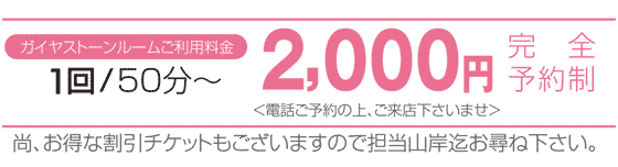 料金：2000円/回
