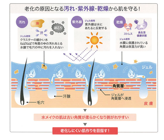 老化の原因からお肌を守る